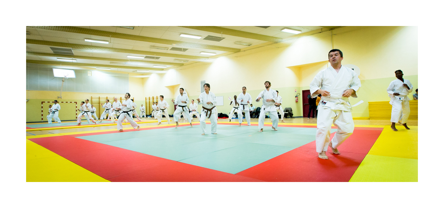 Commencer le Karaté – France Shotokan Paris