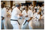 50e anniversaire de France Shotokan à Saint-Lo, en juillet 2014.